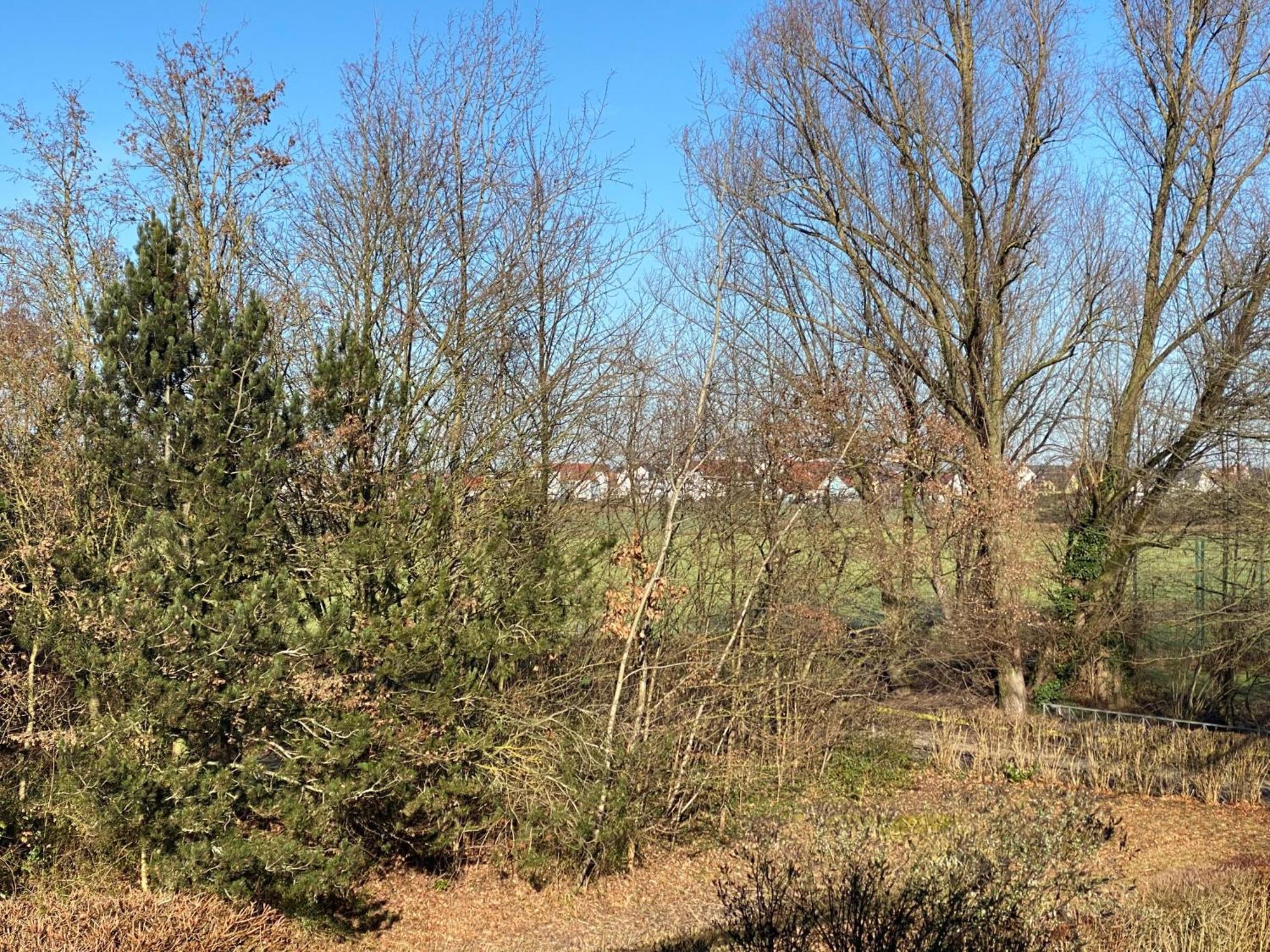 Schoene Wohnung Im Gruenen Stutensee Buitenkant foto